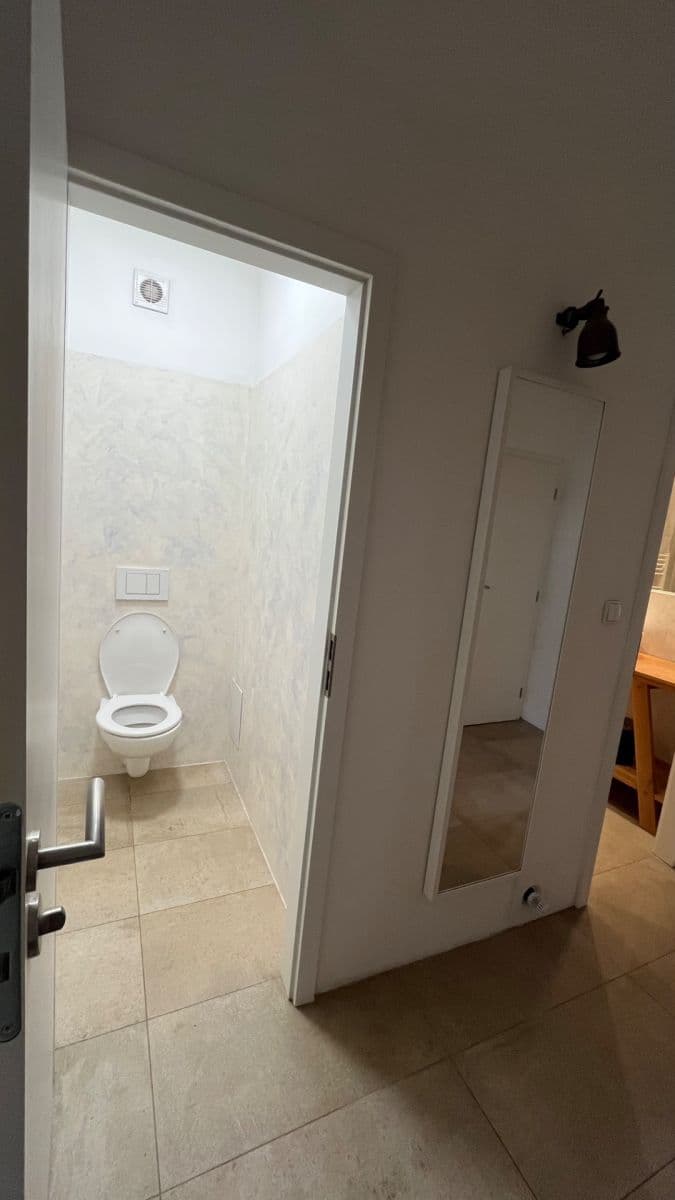 1 bedroom with open-plan kitchen flat to rent, 48 m², Mexická, Prague, Prague 1 bedroom with open-plan kitchen flat to rent, 48 m², Mexická, Prague, Prague