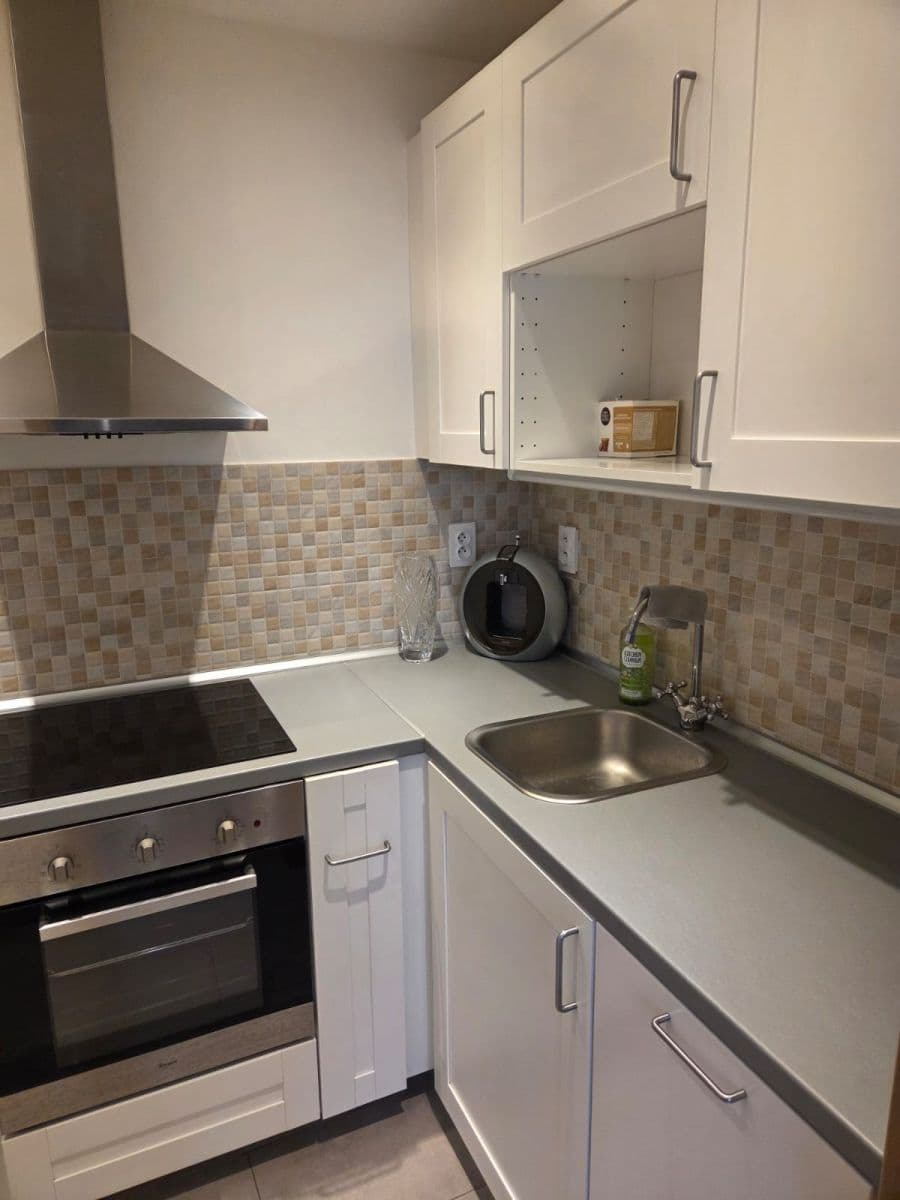 1 bedroom with open-plan kitchen flat to rent, 46 m², Pod Krocínkou, Prague, Prague 1 bedroom with open-plan kitchen flat to rent, 46 m², Pod Krocínkou, Prague, Prague