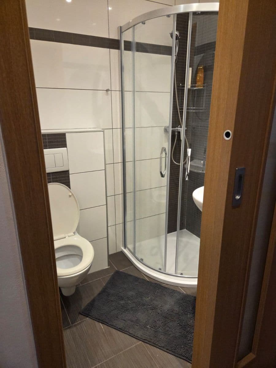 1 bedroom with open-plan kitchen flat to rent, 46 m², Pod Krocínkou, Prague, Prague 1 bedroom with open-plan kitchen flat to rent, 46 m², Pod Krocínkou, Prague, Prague