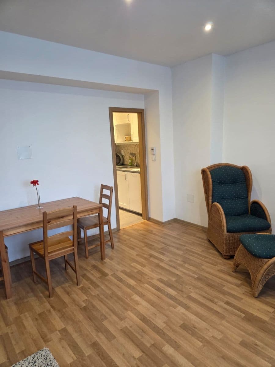 1 bedroom with open-plan kitchen flat to rent, 46 m², Pod Krocínkou, Prague, Prague 1 bedroom with open-plan kitchen flat to rent, 46 m², Pod Krocínkou, Prague, Prague