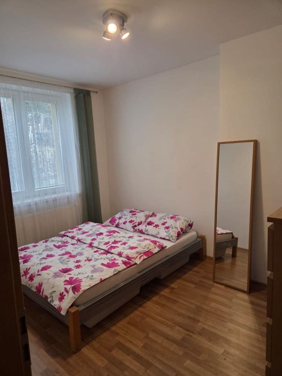 1 bedroom with open-plan kitchen flat to rent, 46 m², Pod Krocínkou, Prague, Prague 1 bedroom with open-plan kitchen flat to rent, 46 m², Pod Krocínkou, Prague, Prague