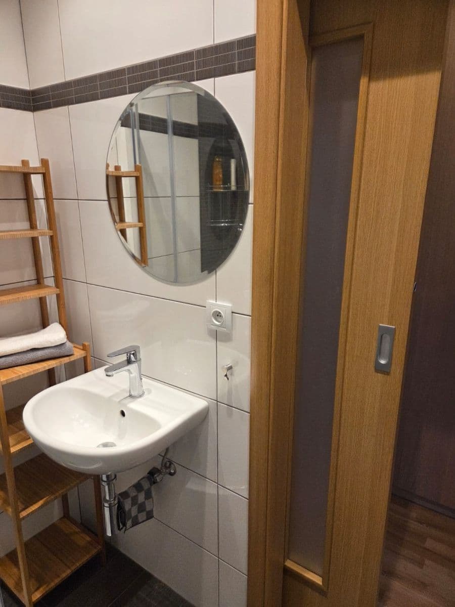 1 bedroom with open-plan kitchen flat to rent, 46 m², Pod Krocínkou, Prague, Prague 1 bedroom with open-plan kitchen flat to rent, 46 m², Pod Krocínkou, Prague, Prague