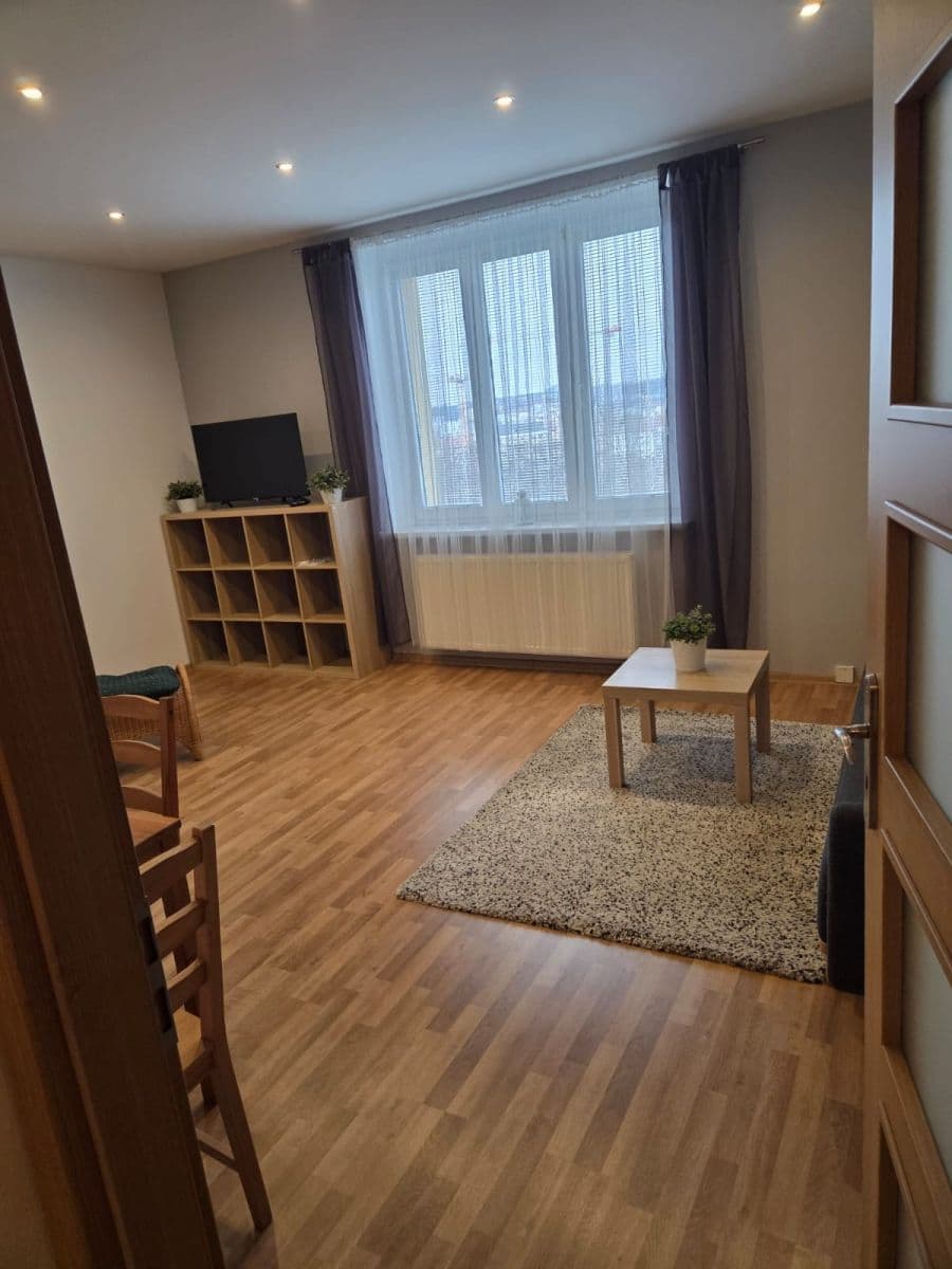 1 bedroom with open-plan kitchen flat to rent, 46 m², Pod Krocínkou, Prague, Prague 1 bedroom with open-plan kitchen flat to rent, 46 m², Pod Krocínkou, Prague, Prague