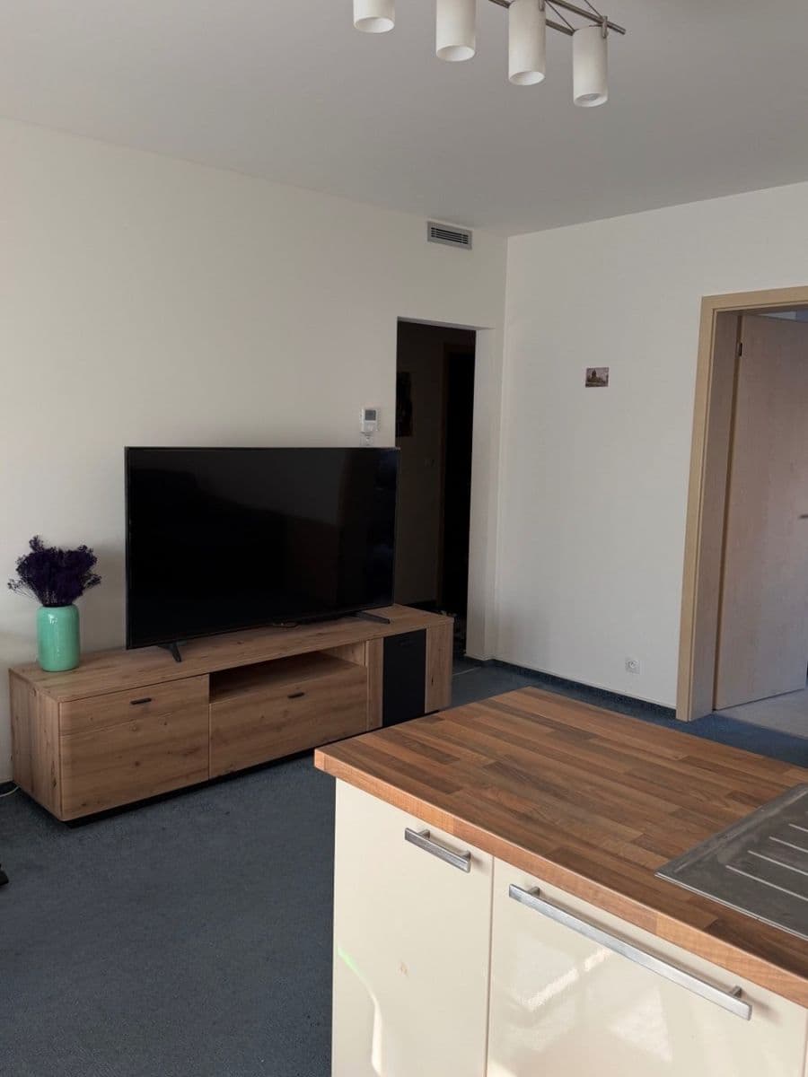 2 bedroom with open-plan kitchen flat to rent, 63 m², Nepomuckých, Prague, Prague 2 bedroom with open-plan kitchen flat to rent, 63 m², Nepomuckých, Prague, Prague