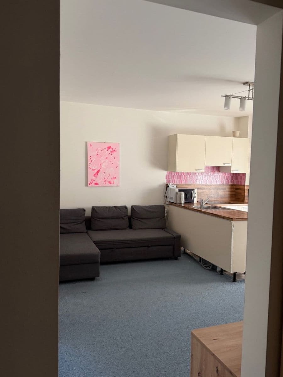 2 bedroom with open-plan kitchen flat to rent, 63 m², Nepomuckých, Prague, Prague 2 bedroom with open-plan kitchen flat to rent, 63 m², Nepomuckých, Prague, Prague