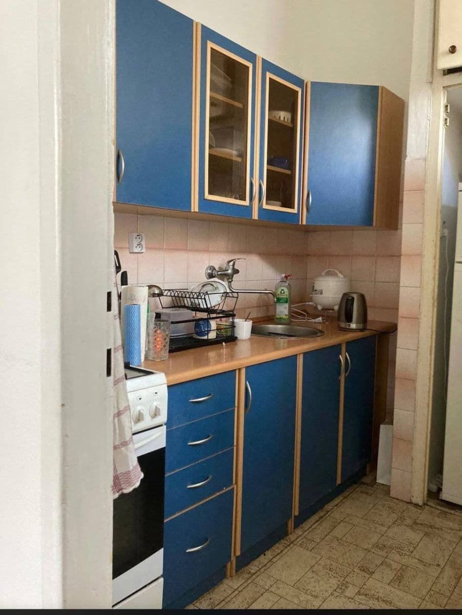 1 bedroom with open-plan kitchen flat to rent, 40 m², U Roháčových kasáren, Prague, Prague 1 bedroom with open-plan kitchen flat to rent, 40 m², U Roháčových kasáren, Prague, Prague