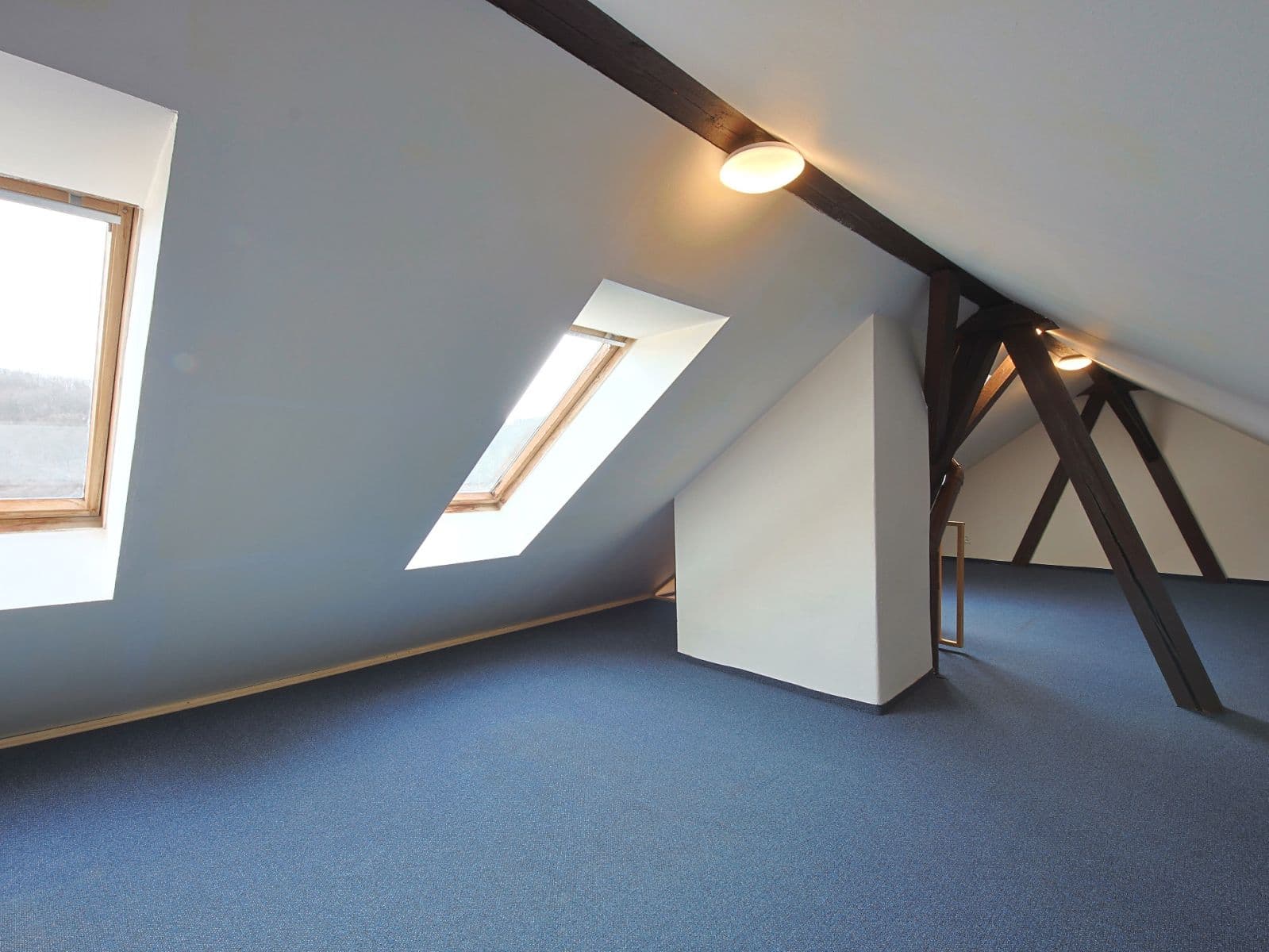 3 bedroom with open-plan kitchen flat for sale, 185 m², Plzeňská, Prague, Prague 3 bedroom with open-plan kitchen flat for sale, 185 m², Plzeňská, Prague, Prague