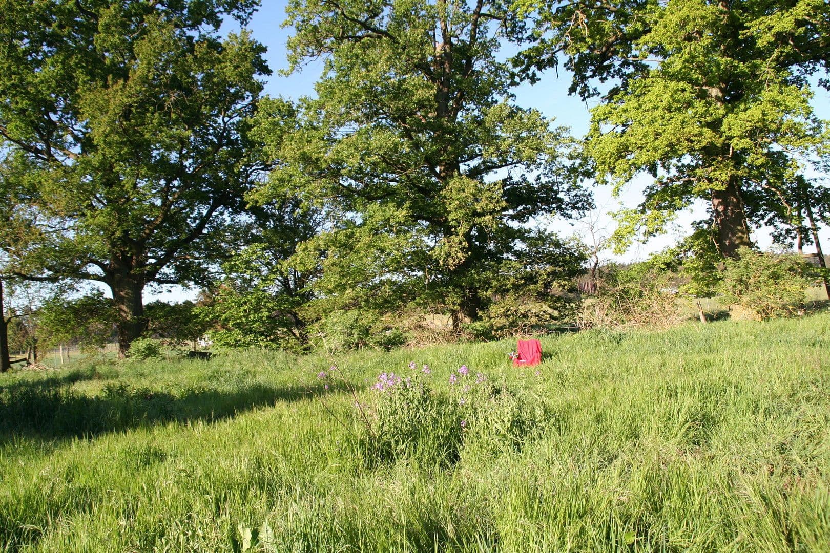 house for sale, 450 m², Grabow, Mecklenburg-Vorpommern house for sale, 450 m², Grabow, Mecklenburg-Vorpommern