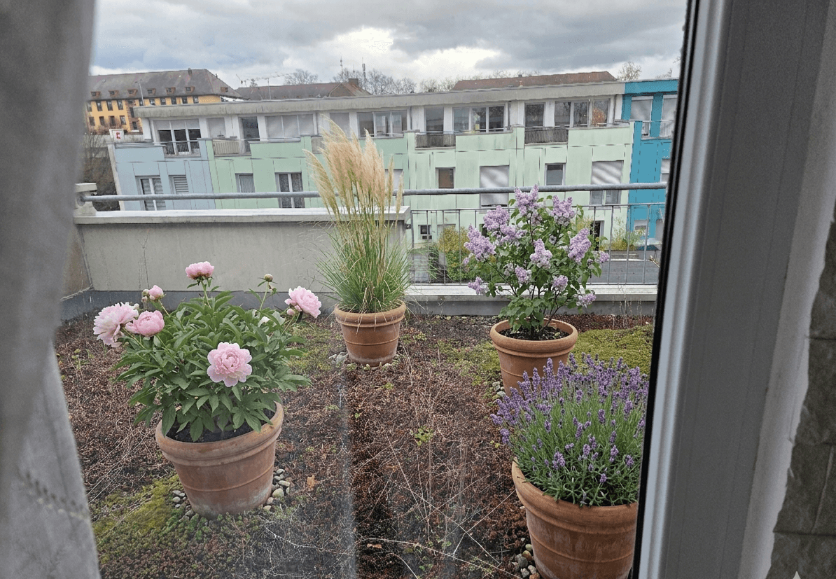 house for sale, 175 m², Aschaffenburg, Bavaria house for sale, 175 m², Aschaffenburg, Bavaria