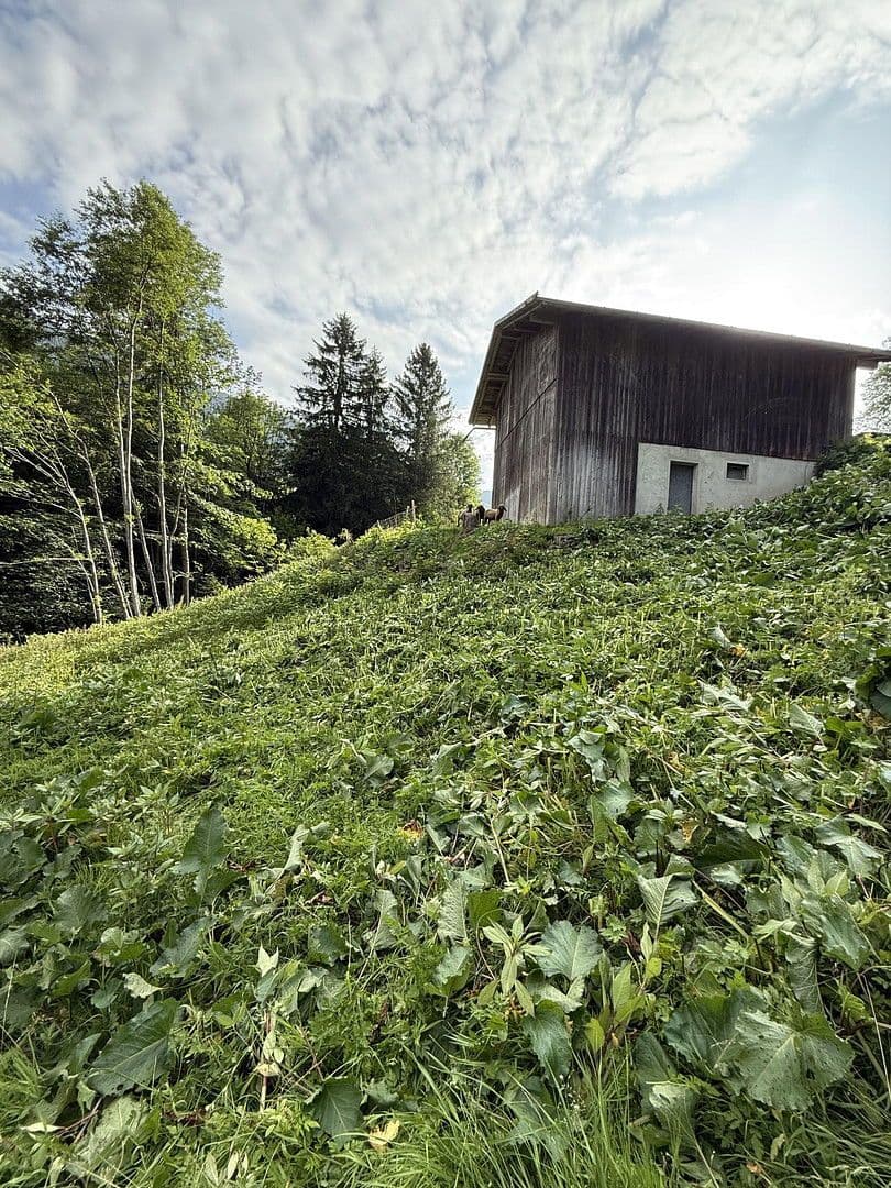 plot for sale, 20,708 m², Schruns, Vorarlberg plot for sale, 20,708 m², Schruns, Vorarlberg