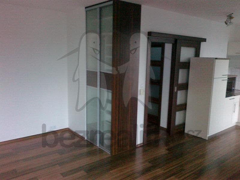 Small studio flat to rent, 41 m², Pod Lipami, Prague, Prague Small studio flat to rent, 41 m², Pod Lipami, Prague, Prague