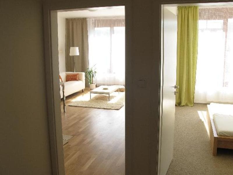 1 bedroom with open-plan kitchen flat to rent, 57 m², Na Císařce, Prague, Prague 1 bedroom with open-plan kitchen flat to rent, 57 m², Na Císařce, Prague, Prague