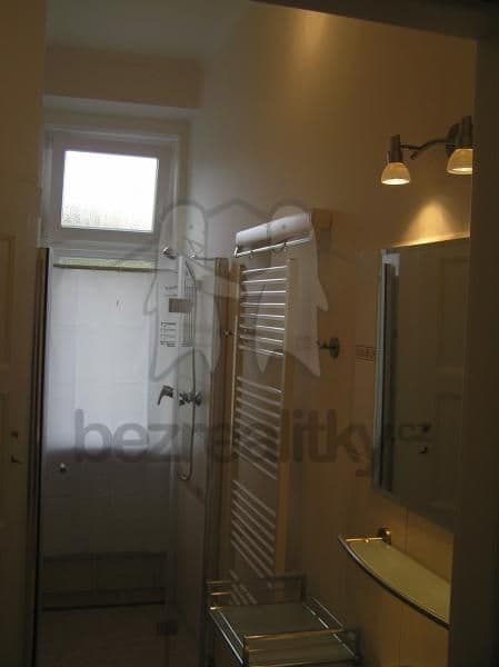 Small studio flat to rent, 32 m², Ruská 90, Prague, Prague Small studio flat to rent, 32 m², Ruská 90, Prague, Prague