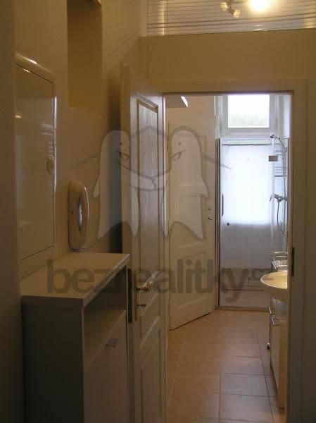 Small studio flat to rent, 32 m², Ruská 90, Prague, Prague Small studio flat to rent, 32 m², Ruská 90, Prague, Prague