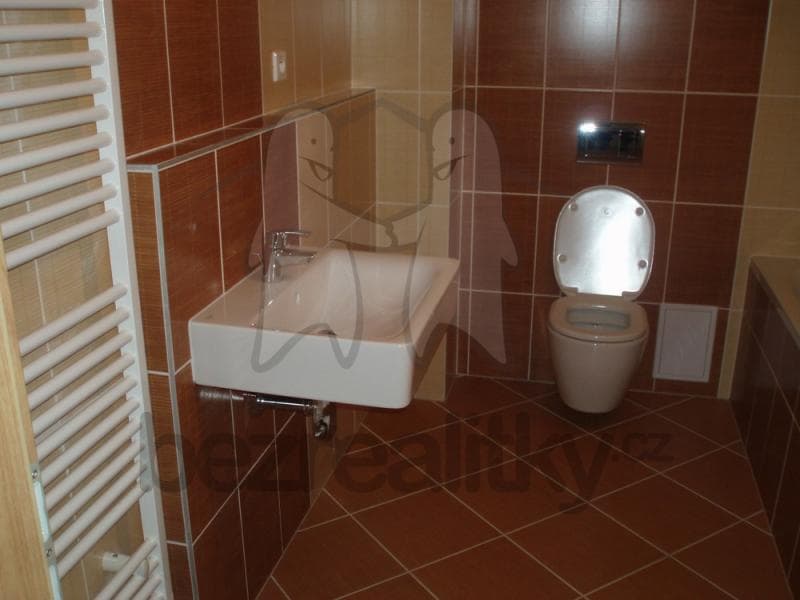 Studio flat to rent, 45 m², Chýně, Středočeský Region Studio flat to rent, 45 m², Chýně, Středočeský Region