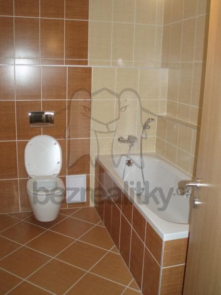 Studio flat to rent, 45 m², Chýně, Středočeský Region Studio flat to rent, 45 m², Chýně, Středočeský Region