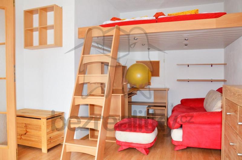 1 bedroom with open-plan kitchen flat to rent, 55 m², Na sypkém, Prague, Prague