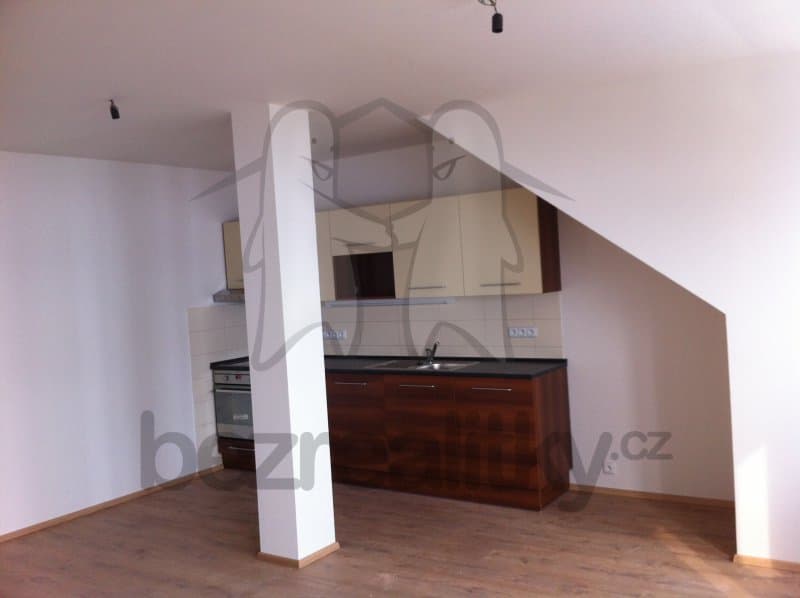 1 bedroom with open-plan kitchen flat to rent, 63 m², Jana Palacha, Pardubice, Pardubický Region