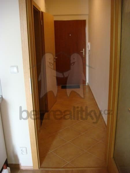 Studio flat to rent, 30 m², Sazovicka, Prague, Prague Studio flat to rent, 30 m², Sazovicka, Prague, Prague