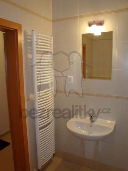 Studio flat to rent, 30 m², Prušánecká, Prague, Prague Studio flat to rent, 30 m², Prušánecká, Prague, Prague