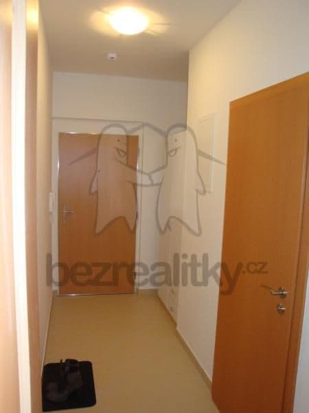 Studio flat to rent, 30 m², Prušánecká, Prague, Prague Studio flat to rent, 30 m², Prušánecká, Prague, Prague