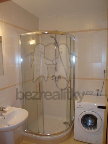Studio flat to rent, 30 m², Prušánecká, Prague, Prague Studio flat to rent, 30 m², Prušánecká, Prague, Prague