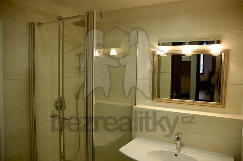 1 bedroom with open-plan kitchen flat to rent, 76 m², Linhartova, Prague, Prague 1 bedroom with open-plan kitchen flat to rent, 76 m², Linhartova, Prague, Prague