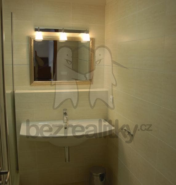 1 bedroom with open-plan kitchen flat to rent, 76 m², Linhartova, Prague, Prague 1 bedroom with open-plan kitchen flat to rent, 76 m², Linhartova, Prague, Prague