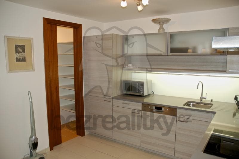 1 bedroom with open-plan kitchen flat to rent, 76 m², Linhartova, Prague, Prague 1 bedroom with open-plan kitchen flat to rent, 76 m², Linhartova, Prague, Prague
