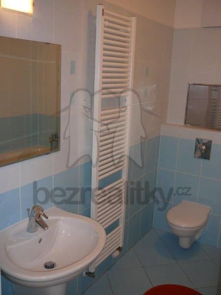 1 bedroom with open-plan kitchen flat to rent, 42 m², Raichlova, Prague, Prague 1 bedroom with open-plan kitchen flat to rent, 42 m², Raichlova, Prague, Prague