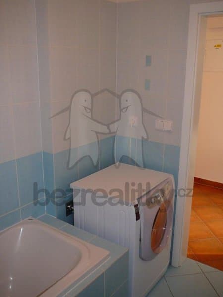1 bedroom with open-plan kitchen flat to rent, 42 m², Raichlova, Prague, Prague 1 bedroom with open-plan kitchen flat to rent, 42 m², Raichlova, Prague, Prague
