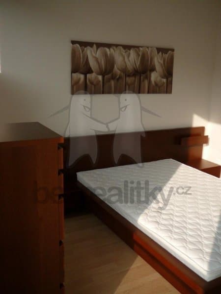 1 bedroom with open-plan kitchen flat to rent, 42 m², Raichlova, Prague, Prague 1 bedroom with open-plan kitchen flat to rent, 42 m², Raichlova, Prague, Prague