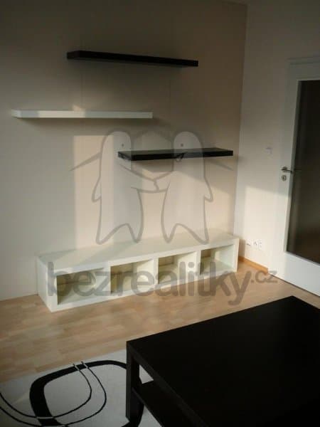1 bedroom with open-plan kitchen flat to rent, 42 m², Raichlova, Prague, Prague 1 bedroom with open-plan kitchen flat to rent, 42 m², Raichlova, Prague, Prague