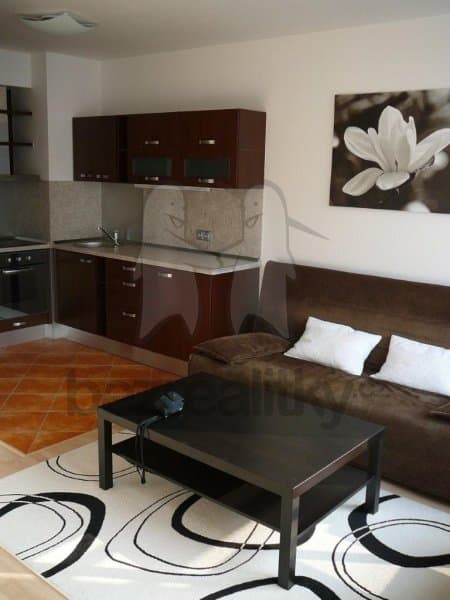 1 bedroom with open-plan kitchen flat to rent, 42 m², Raichlova, Prague, Prague 1 bedroom with open-plan kitchen flat to rent, 42 m², Raichlova, Prague, Prague