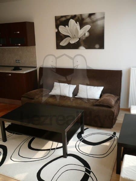 1 bedroom with open-plan kitchen flat to rent, 42 m², Raichlova, Prague, Prague 1 bedroom with open-plan kitchen flat to rent, 42 m², Raichlova, Prague, Prague
