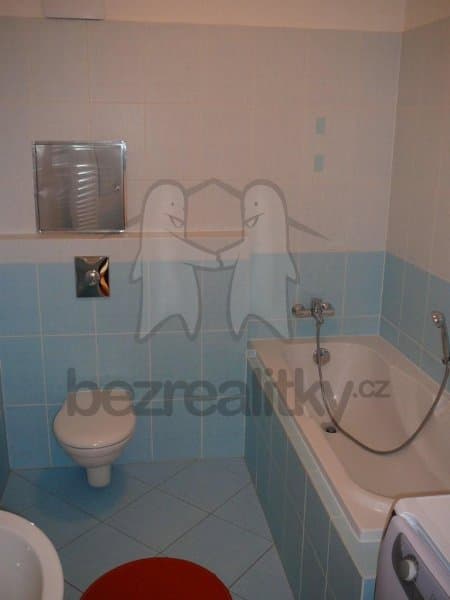 1 bedroom with open-plan kitchen flat to rent, 42 m², Raichlova, Prague, Prague 1 bedroom with open-plan kitchen flat to rent, 42 m², Raichlova, Prague, Prague