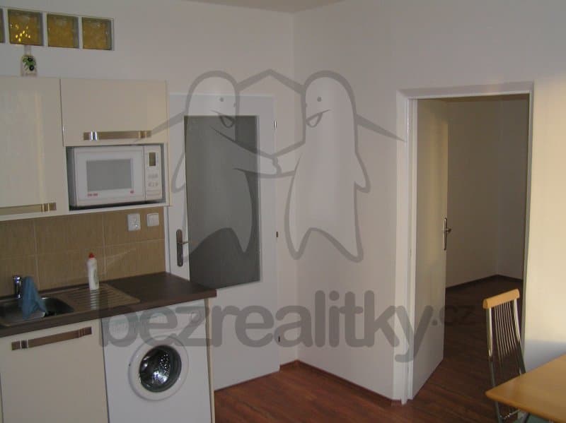 1 bedroom with open-plan kitchen flat to rent, 39 m², Olbramovická, Prague, Prague 1 bedroom with open-plan kitchen flat to rent, 39 m², Olbramovická, Prague, Prague