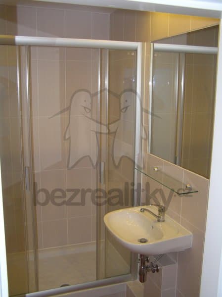 1 bedroom with open-plan kitchen flat to rent, 39 m², Olbramovická, Prague, Prague 1 bedroom with open-plan kitchen flat to rent, 39 m², Olbramovická, Prague, Prague