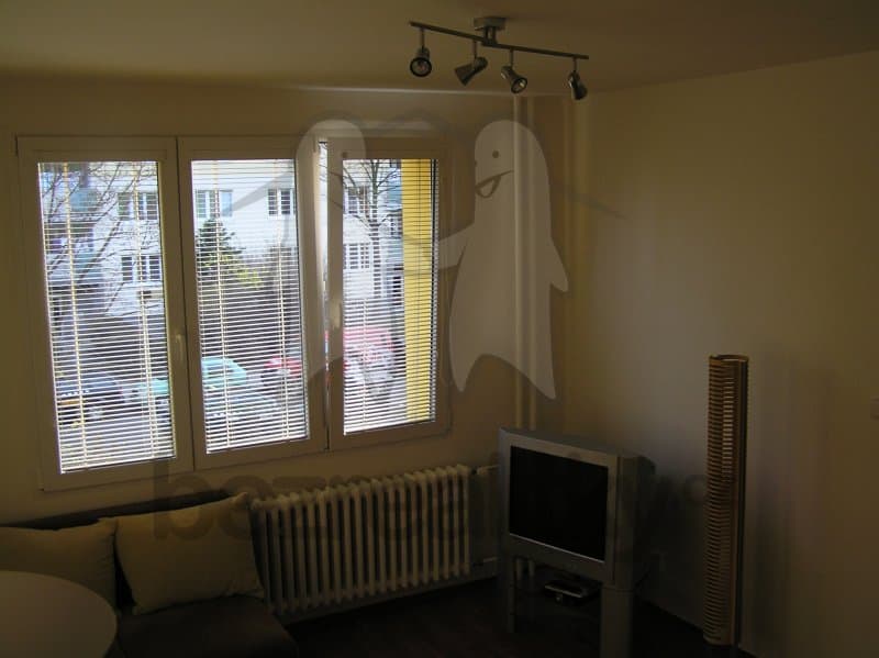 1 bedroom with open-plan kitchen flat to rent, 39 m², Olbramovická, Prague, Prague 1 bedroom with open-plan kitchen flat to rent, 39 m², Olbramovická, Prague, Prague