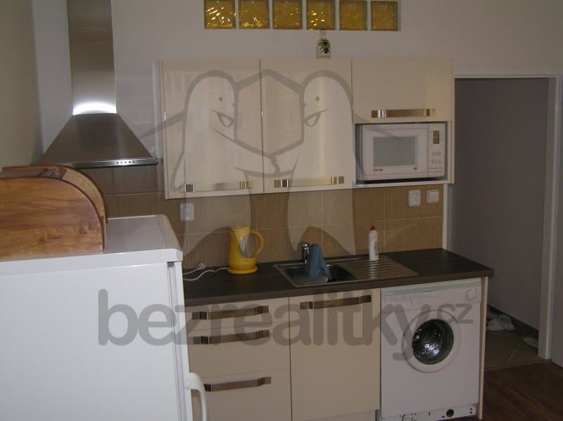 1 bedroom with open-plan kitchen flat to rent, 39 m², Olbramovická, Prague, Prague 1 bedroom with open-plan kitchen flat to rent, 39 m², Olbramovická, Prague, Prague
