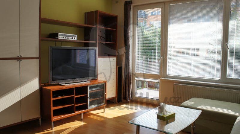 1 bedroom with open-plan kitchen flat to rent, 50 m², Kováříkova, Prague, Prague 1 bedroom with open-plan kitchen flat to rent, 50 m², Kováříkova, Prague, Prague