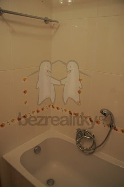 1 bedroom with open-plan kitchen flat to rent, 51 m², Jetelová, Prague, Prague 1 bedroom with open-plan kitchen flat to rent, 51 m², Jetelová, Prague, Prague