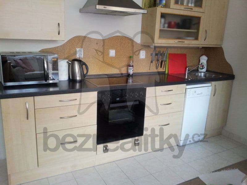 1 bedroom with open-plan kitchen flat to rent, 54 m², Trnkovo náměstí, Prague, Prague 1 bedroom with open-plan kitchen flat to rent, 54 m², Trnkovo náměstí, Prague, Prague