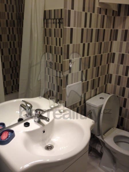 1 bedroom with open-plan kitchen flat to rent, 39 m², Kouřimská, Prague, Prague 1 bedroom with open-plan kitchen flat to rent, 39 m², Kouřimská, Prague, Prague