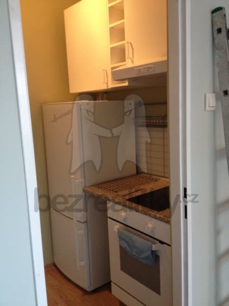 1 bedroom with open-plan kitchen flat to rent, 39 m², Kouřimská, Prague, Prague 1 bedroom with open-plan kitchen flat to rent, 39 m², Kouřimská, Prague, Prague