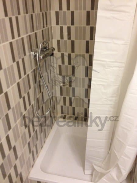 1 bedroom with open-plan kitchen flat to rent, 39 m², Kouřimská, Prague, Prague 1 bedroom with open-plan kitchen flat to rent, 39 m², Kouřimská, Prague, Prague