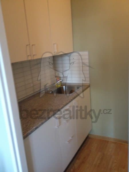 1 bedroom with open-plan kitchen flat to rent, 39 m², Kouřimská, Prague, Prague 1 bedroom with open-plan kitchen flat to rent, 39 m², Kouřimská, Prague, Prague