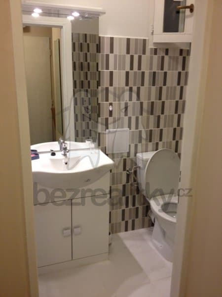 1 bedroom with open-plan kitchen flat to rent, 39 m², Kouřimská, Prague, Prague 1 bedroom with open-plan kitchen flat to rent, 39 m², Kouřimská, Prague, Prague