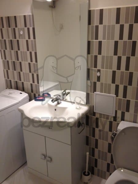 1 bedroom with open-plan kitchen flat to rent, 39 m², Kouřimská, Prague, Prague 1 bedroom with open-plan kitchen flat to rent, 39 m², Kouřimská, Prague, Prague