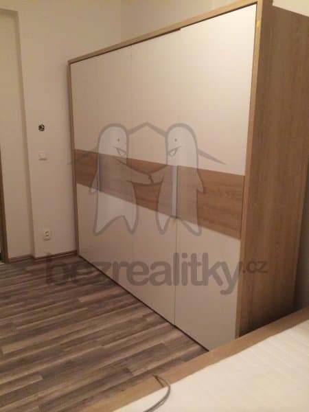 1 bedroom with open-plan kitchen flat to rent, 42 m², Rostislavova, Prague, Prague 1 bedroom with open-plan kitchen flat to rent, 42 m², Rostislavova, Prague, Prague